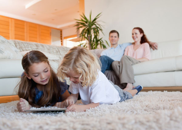 home remedies for pet stains on carpet